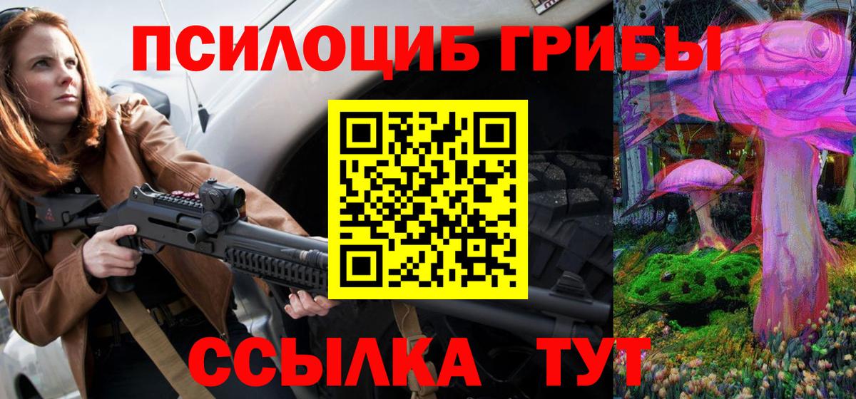 Галлюциногенные грибы Cubensis  Вход с VPN  Шелехов 