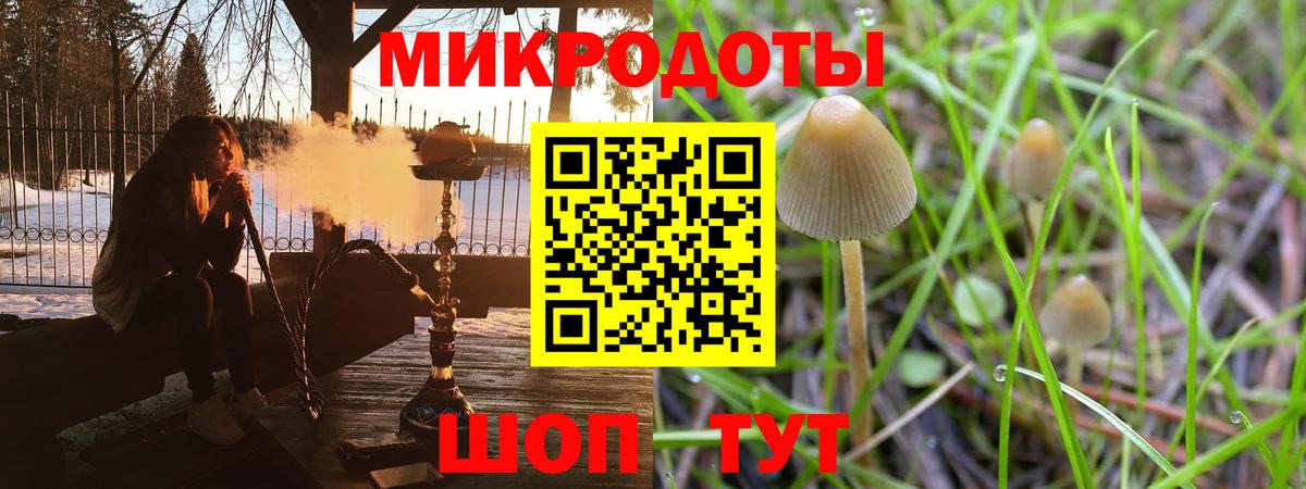 Псилоцибиновые грибы мицелий Шелехов